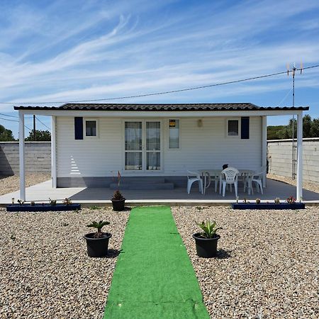 Apartamento El Ronco. Conil De La Frontera Eksteriør bilde